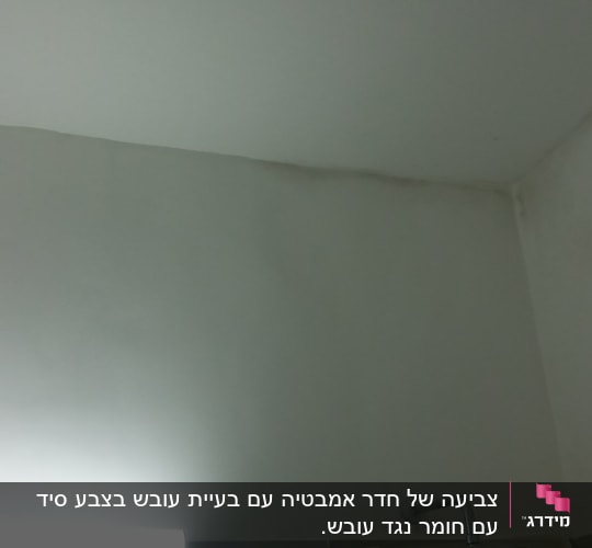קיר צבוע בלבן עם סימני רטיבות בפינה